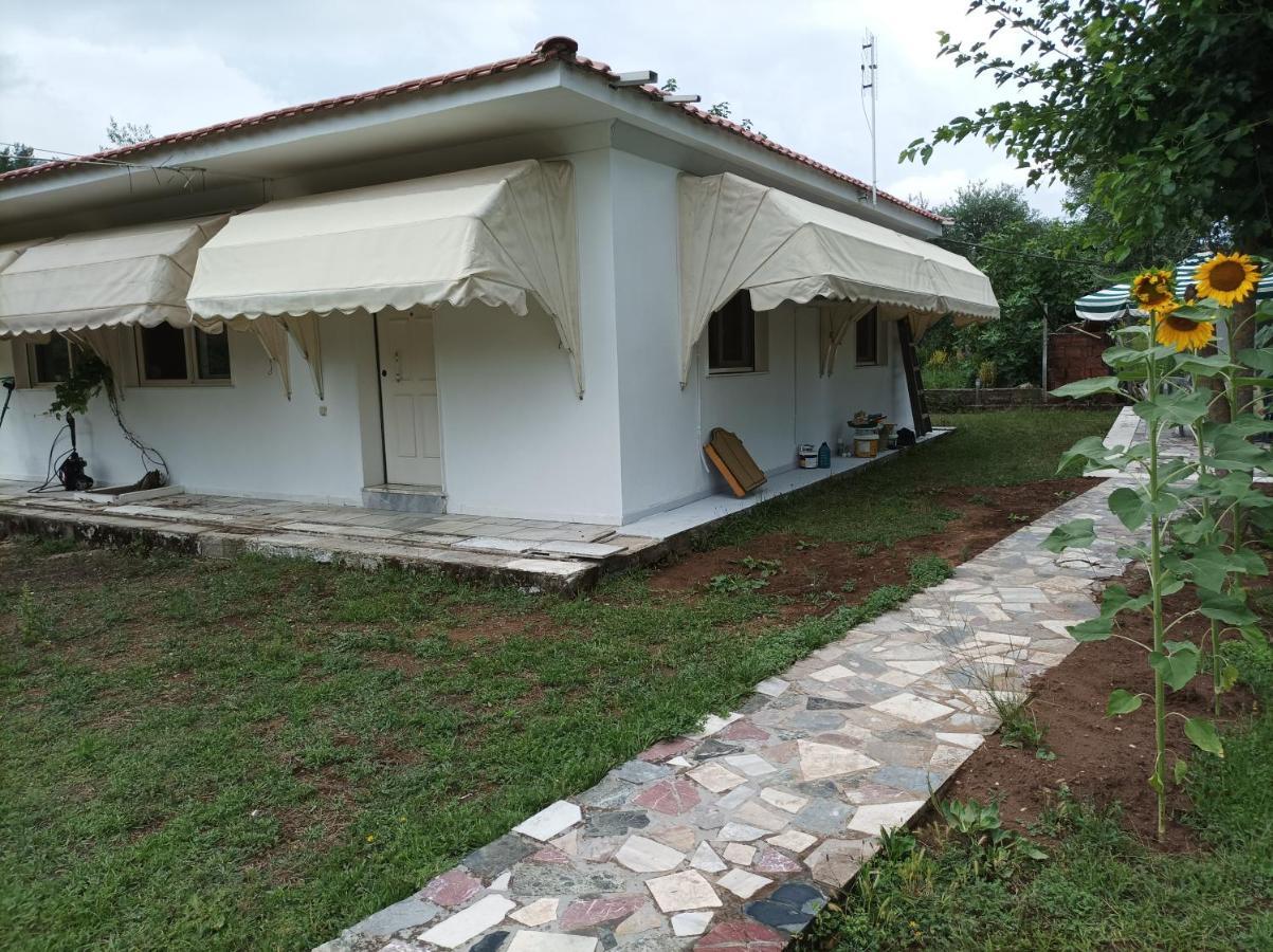 Thassossweethome Exterior foto